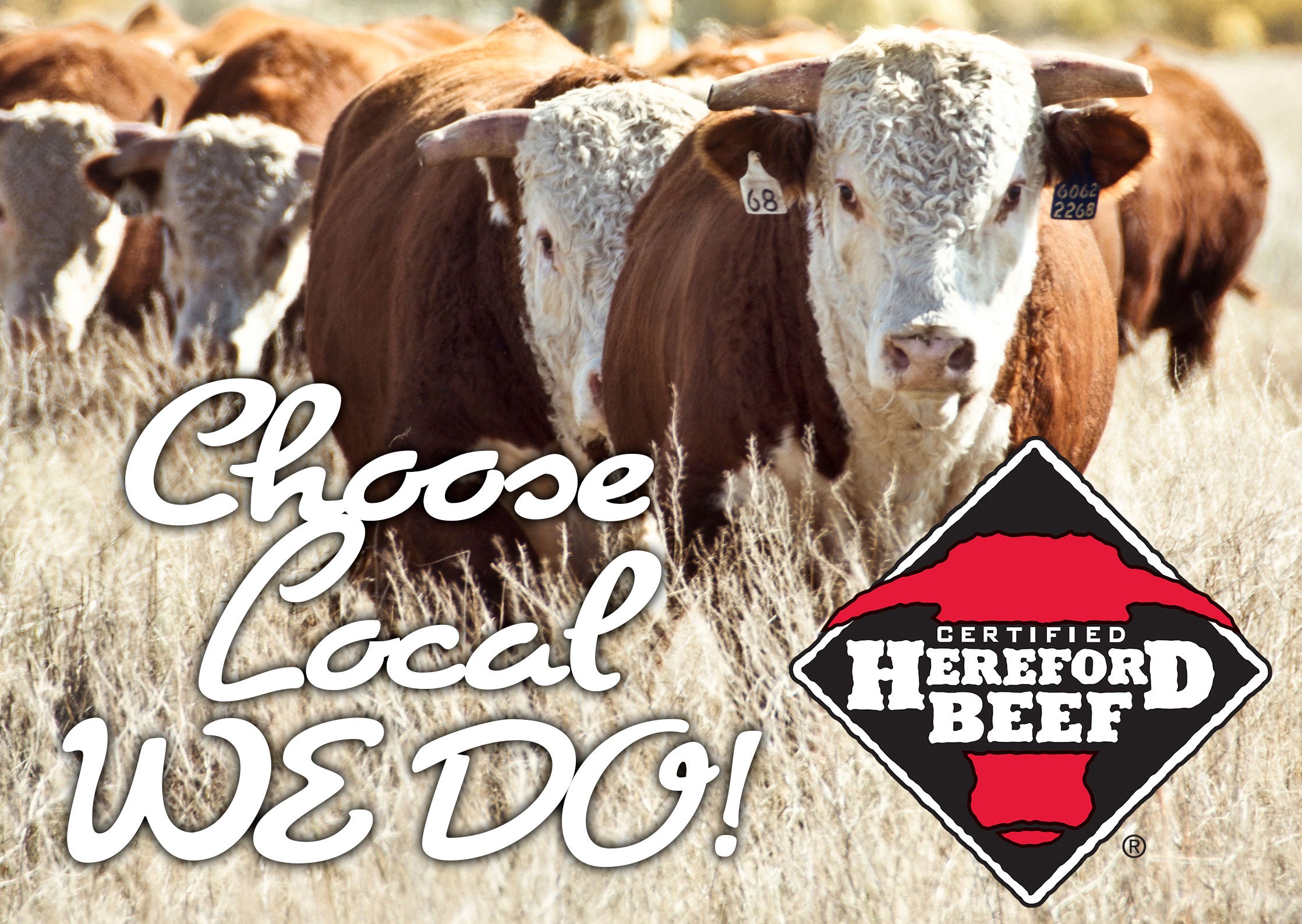 The Dough Hook Mystery Meat Bundle The Dough Hook 117 N. Main Street